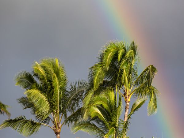Princeville Luxury Vacation Rental  Kauai North Shore Vacation Home with Pool & Tennis