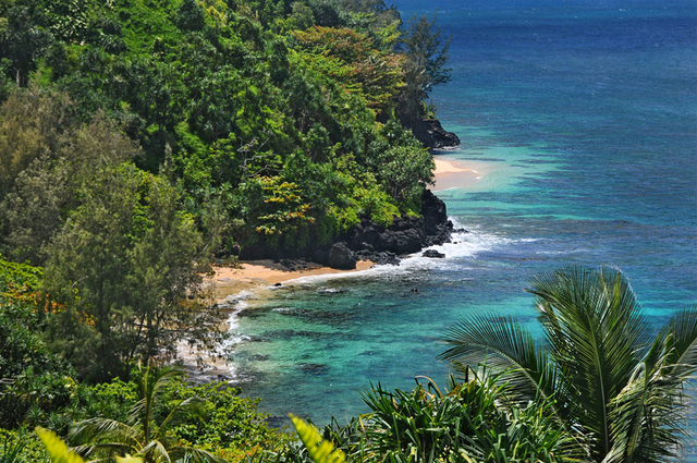 Princeville Condo 957787