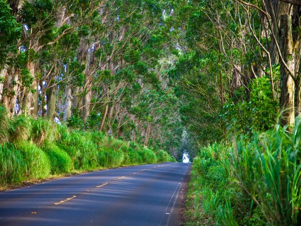 Oceanfront Escape with Sweeping Hanalei Views