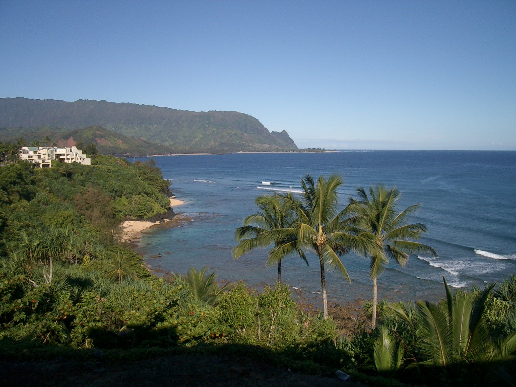 Princeville Condo 957792