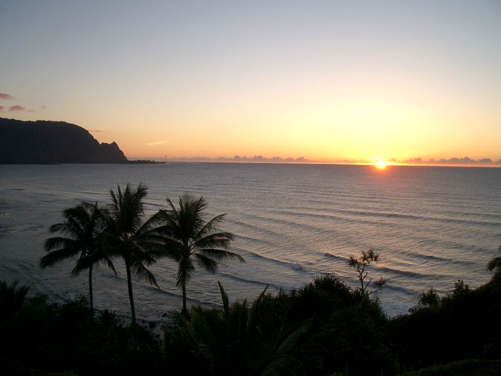 Princeville Condo 957792