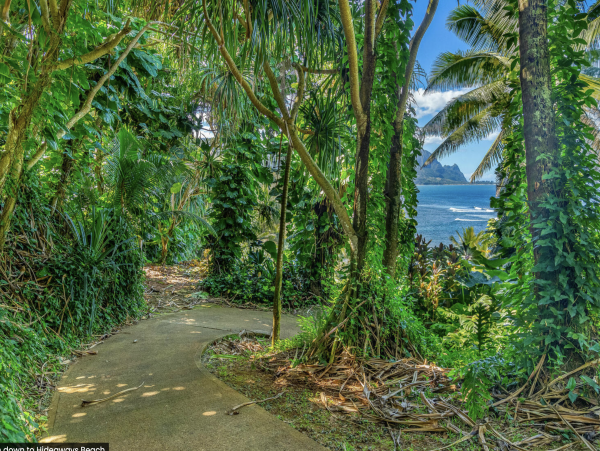 Kauai Wonderful Two bedroom Retreat North Shore