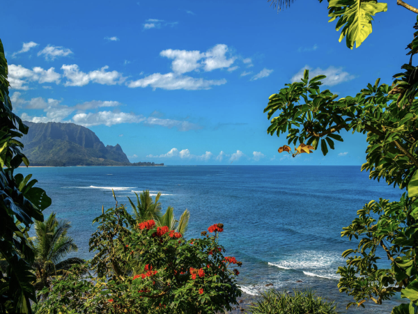 Kauai Wonderful Two bedroom Retreat North Shore