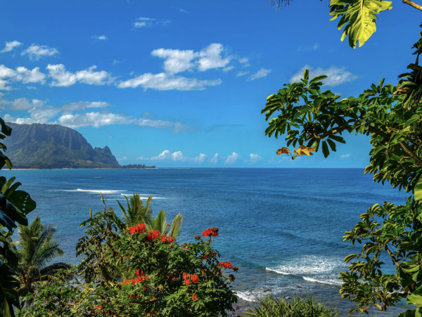 Kauai Wonderful Two bedroom Retreat North Shore