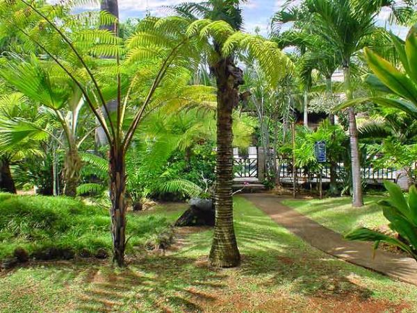 Princeville Condo 957798
