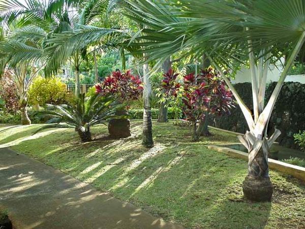Princeville Condo 957798