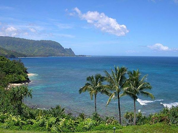 Princeville Condo 957801