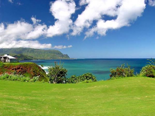 Princeville Condo 957805