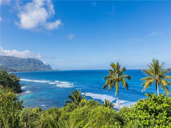 Princeville Condo 957808