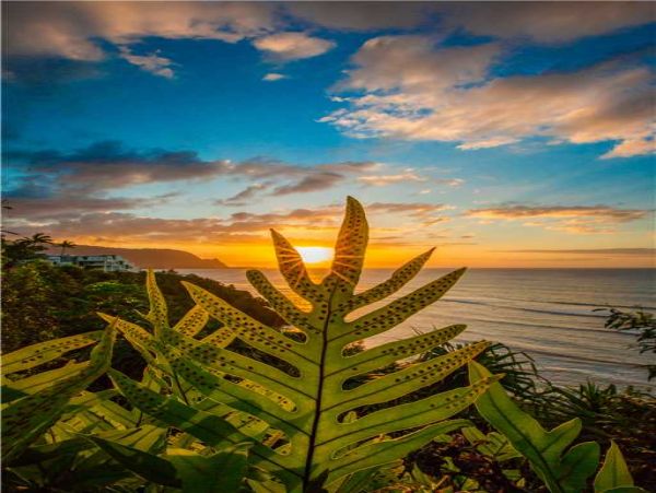 Princeville Condo 957808