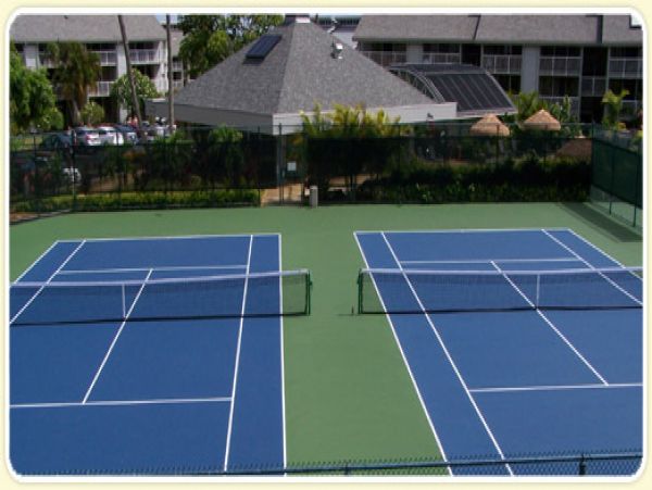 Princeville Condo 957810