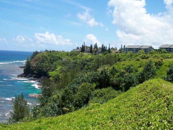 Princeville Condo 957810