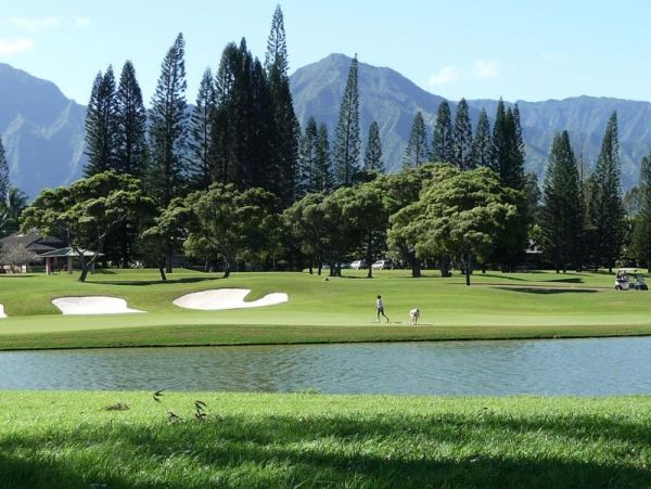 Princeville Condo 957810