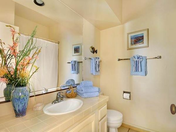 Princeville Condo 957811