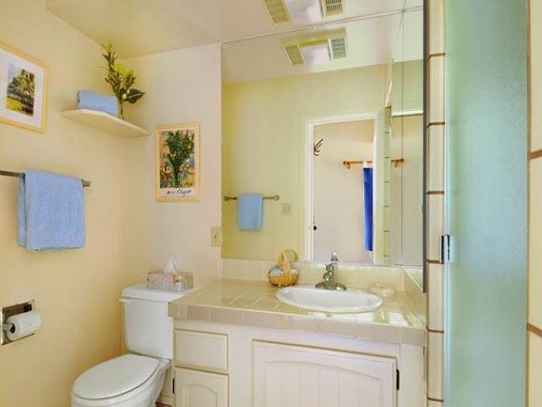 Princeville Condo 957811