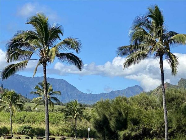 Princeville Condo 957813