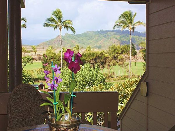 Princeville Condo 957813