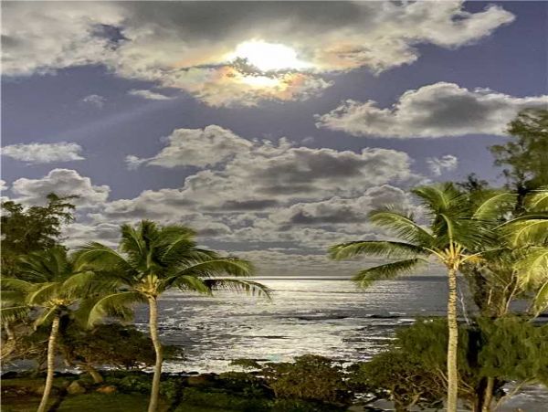 Princeville Condo 957813