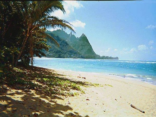 Princeville Home 957815