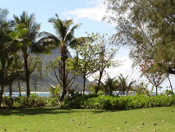 Princeville Home 957815
