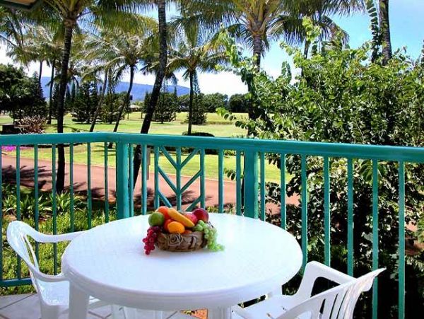 Princeville Condo 957816