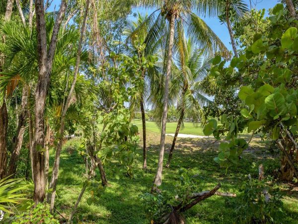 The Florida Keys Home 957827