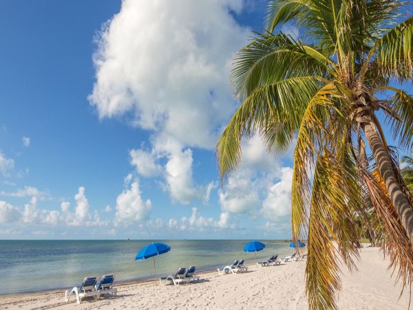 The Florida Keys Condo 957862