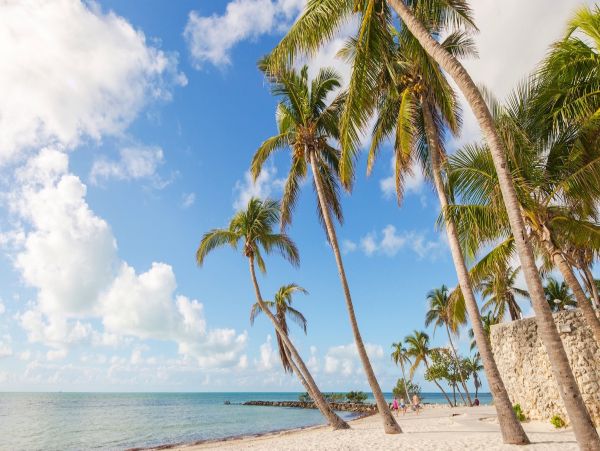 The Florida Keys Condo 957862