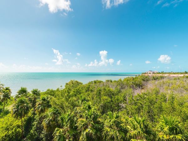The Florida Keys Home 957864
