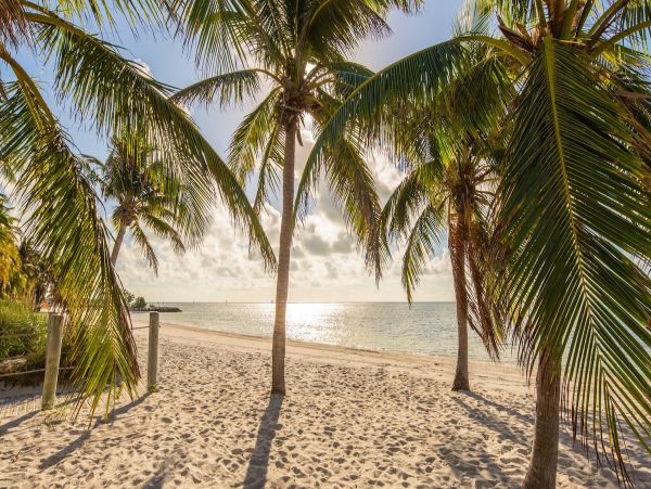 The Florida Keys Home 957899