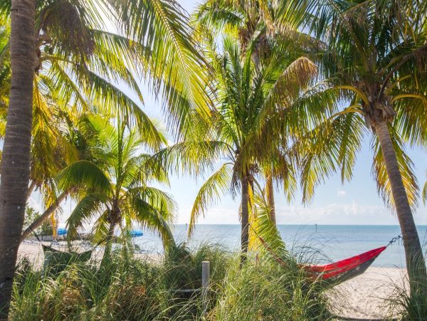 Luxury 3 Bedroom Vacation Condo with Panoramic Ocean Views