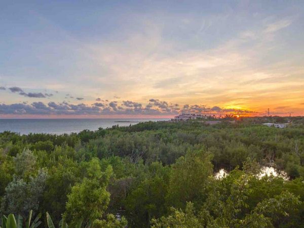 The Florida Keys Condo 957917