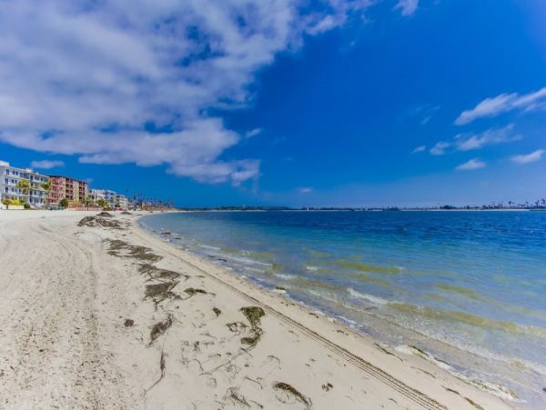 Mission Beach And Pacific Beach Condo 957927
