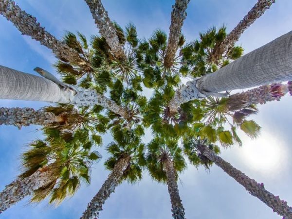 Mission Beach And Pacific Beach Condo 957930