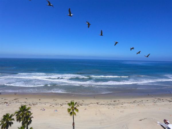 Mission Beach And Pacific Beach Condo 957941