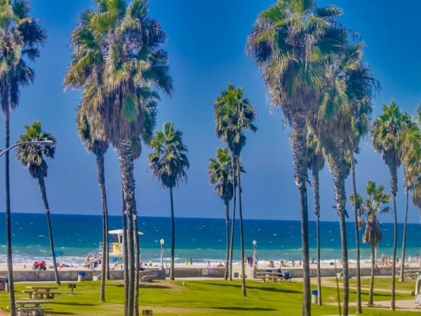 Mission Beach And Pacific Beach Condo 957971