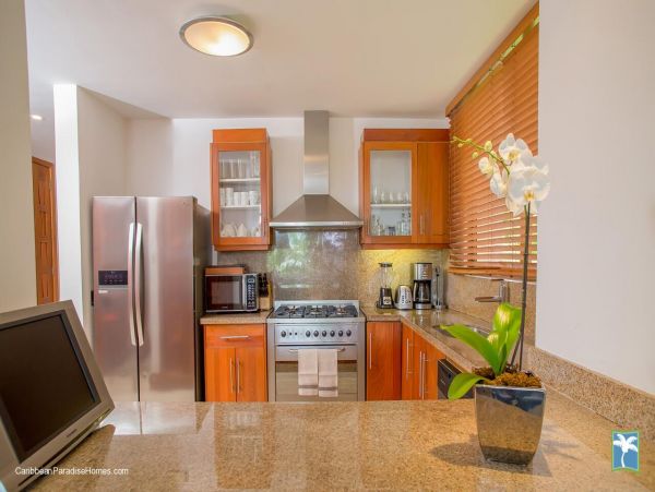Dominican Republic Condo 958040
