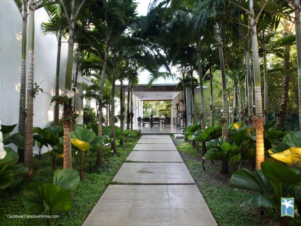 Dominican Republic Home 958067