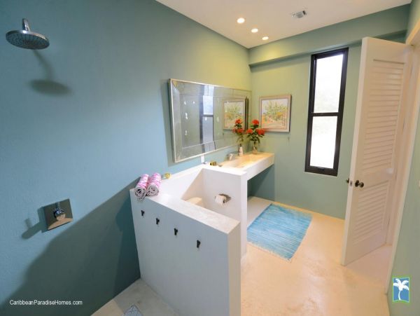 Cayman Islands Home 958138