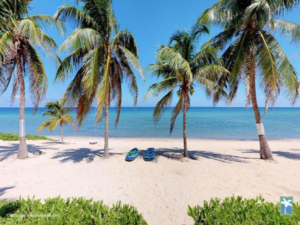 Cayman Islands Home 958165