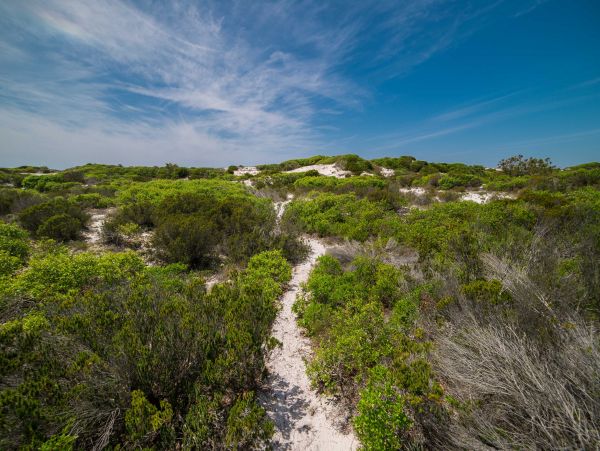 Mexico Beach Home 958190