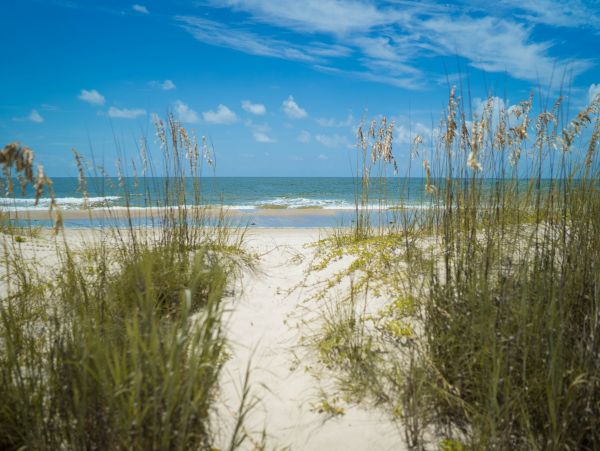 Mexico Beach Home 958205