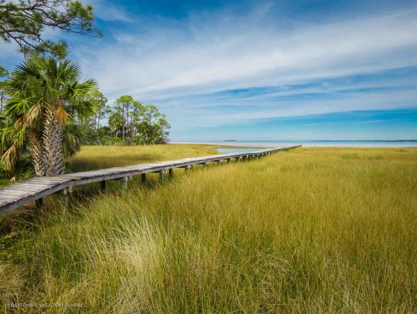 Mexico Beach Home 958210