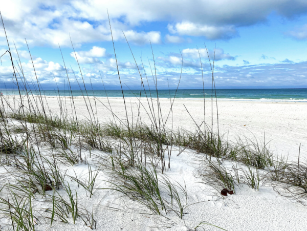 Mere Two Blocks from the Beach - Summer Stunner!