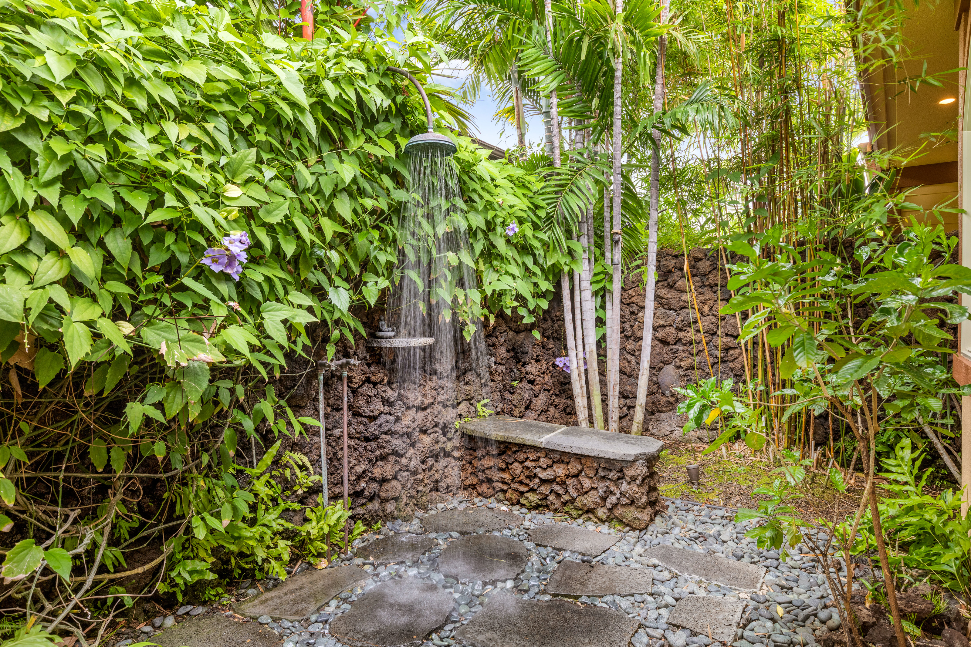 Kohala Coast Home 958226
