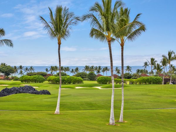 Kohala Coast Home 958228