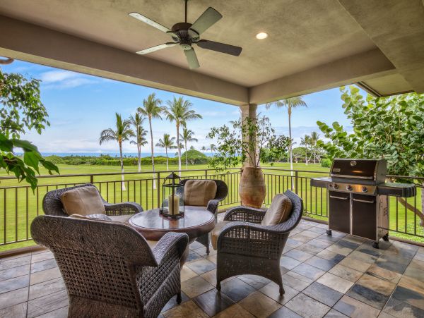 Kohala Coast Home 958228