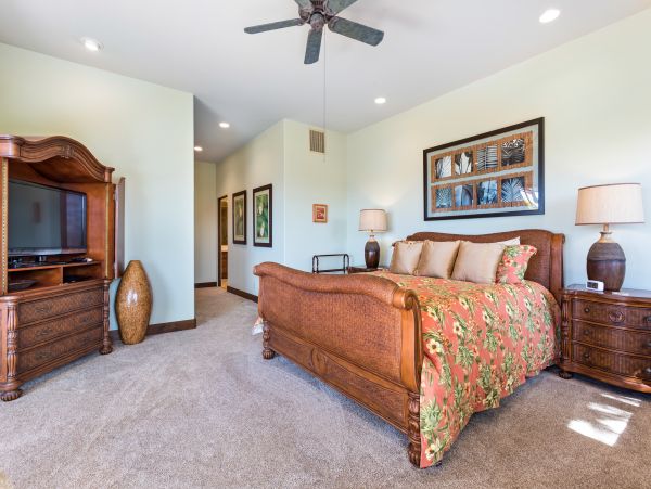 Kohala Coast Home 958229