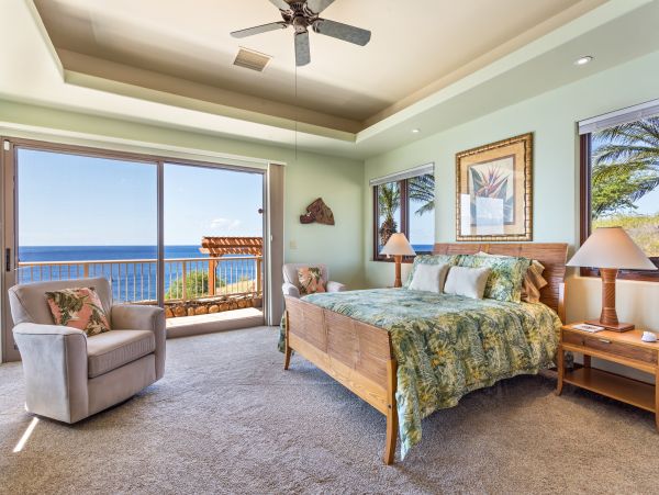 Kohala Coast Home 958229