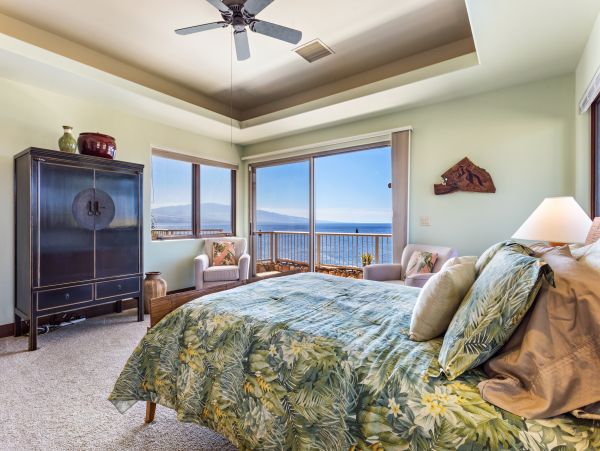 Kohala Coast Home 958229